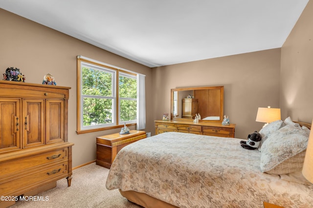 2010 Pine Meadow Ave, Toms River, NJ 08753 - bedroom featuring light colored carpet and baseboards