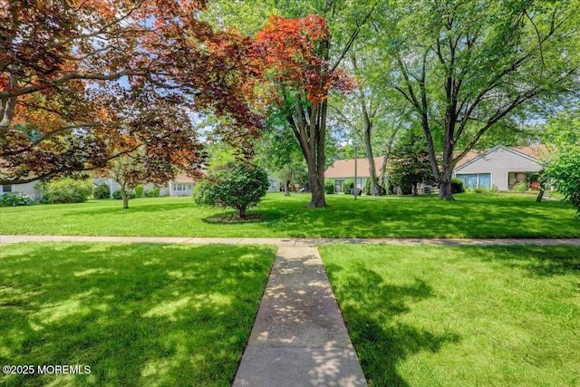 128 Korn Market Unit E, Freehold, NJ 07728 - view of community featuring a yard