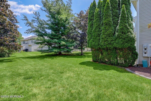 53 Grassmere Ct Unit 1, Freehold, NJ 07728 - view of green lawn