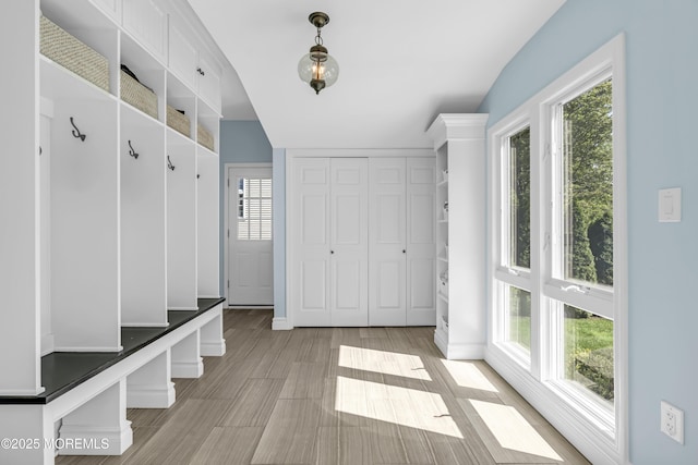 20 Wardell Ave, Rumson, NJ 07760 - mudroom with healthy amount of natural light and light wood-style flooring
