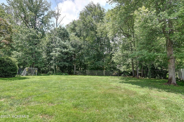 25 Forman Ln, Manalapan, NJ 07726 - view of yard