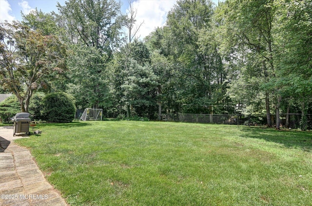 25 Forman Ln, Manalapan, NJ 07726 - view of yard