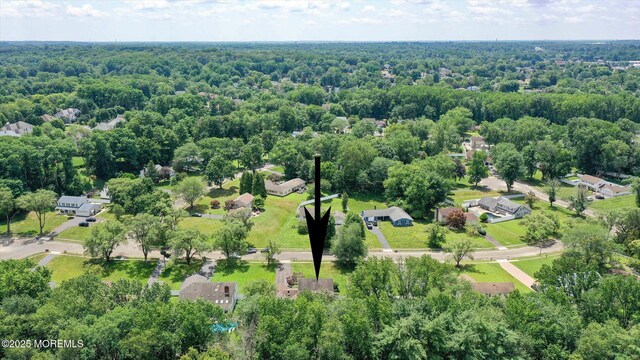 25 Forman Ln, Manalapan, NJ 07726 - bird's eye view of a heavily wooded area