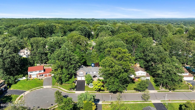 7 Lorraine Ct, East Brunswick, NJ 08816 - bird's eye view of a forest