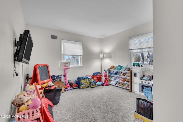 228 Elizabeth Ave, Bayville, NJ 08721 - photo 20