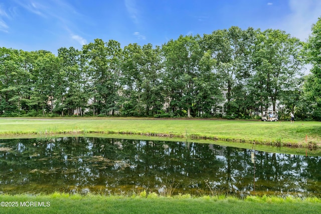 12 Falstaff Dr, Manchester, NJ 08759 - photo 82