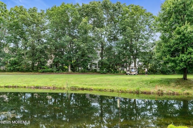 12 Falstaff Dr, Manchester, NJ 08759 - photo 83