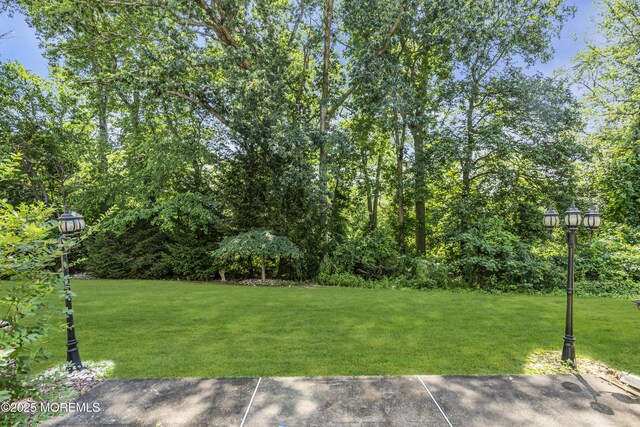 1602 Wagon Wheel Ct, Freehold, NJ 07728 - view of grassy yard