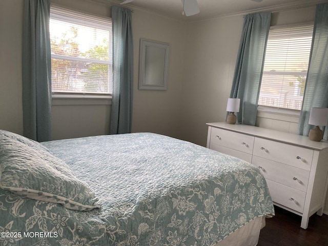 25 E 49th St, Long Beach Twp, NJ 08008 - bedroom with dark wood-style flooring, multiple windows, ornamental molding, and a ceiling fan