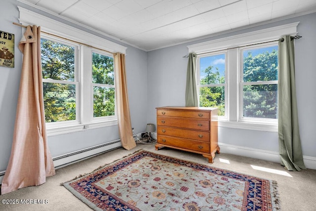 660 Herbertsville Rd, Brick, NJ 08724 - carpeted bedroom with multiple windows, a baseboard heating unit, and ornamental molding
