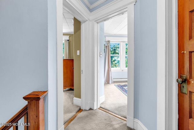 660 Herbertsville Rd, Brick, NJ 08724 - corridor with carpet flooring, crown molding, a baseboard radiator, and plenty of natural light