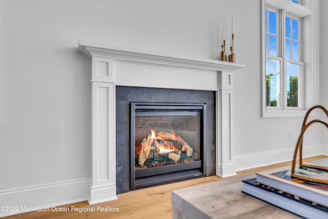 116 Eagle Way, Eatontown, NJ 07724 - detailed view of a glass covered fireplace and wood finished floors