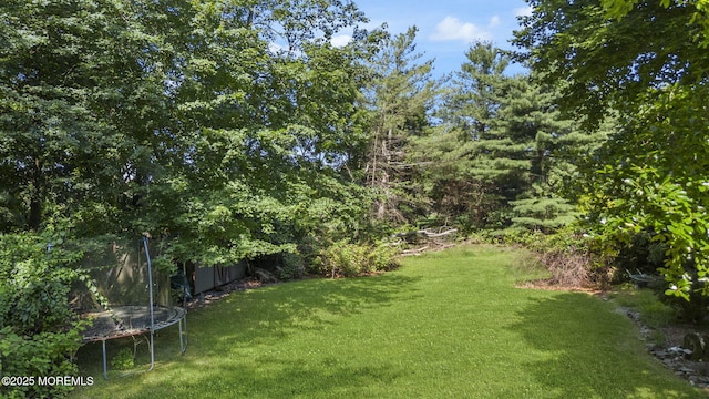 6 Tower Ct, Farmingdale, NJ 07727 - view of green lawn featuring a trampoline