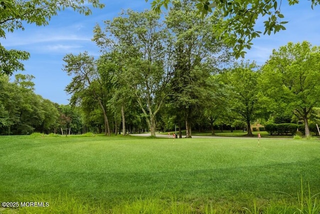 239 Medford Ct Unit B, Manalapan, NJ 07726 - view of property's community featuring a lawn and view of scattered trees