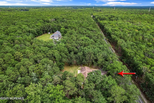 271 S Stump Tavern Rd, Jackson, NJ 08527 - drone / aerial view of a forest