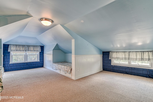 48 Washington Ave, Leonardo, NJ 07737 - bonus room featuring carpet, lofted ceiling, and a wainscoted wall