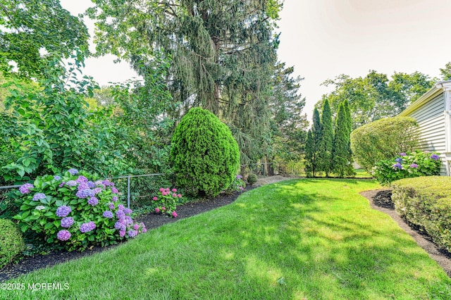 48 Washington Ave, Leonardo, NJ 07737 - view of yard