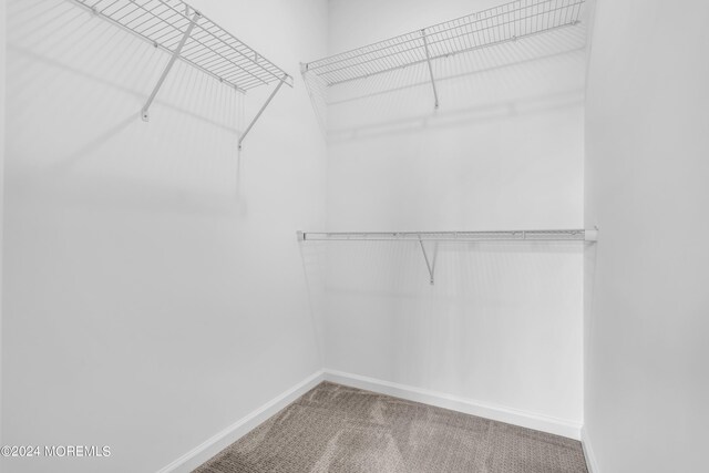 750 Lighthouse Dr Unit 1103, Barnegat, NJ 08005 - walk in closet with carpet