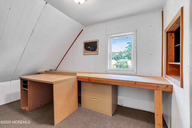 22 Tara Lin Dr, Hazlet, NJ 07730 - unfurnished office with carpet, vaulted ceiling, and built in study area