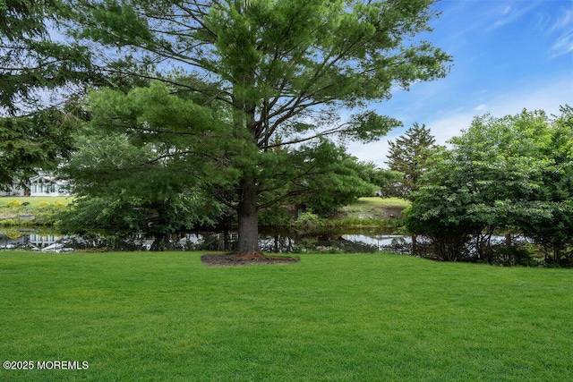 324 Barbados Dr N, Toms River, NJ 08757 - view of green lawn with a water view