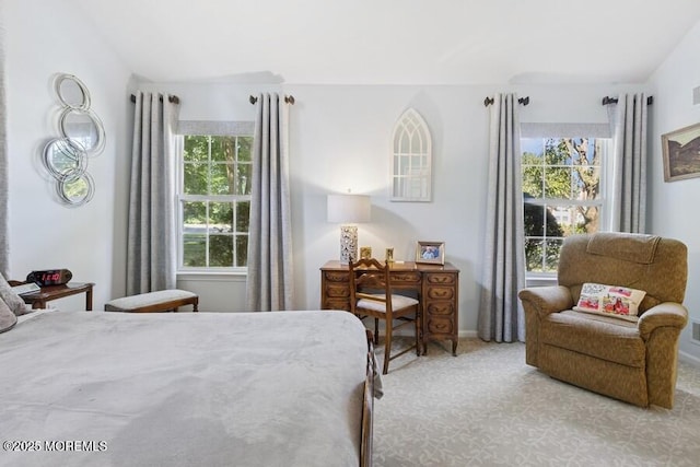 2525 Spring Hill Dr, Toms River, NJ 08755 - carpeted bedroom featuring multiple windows