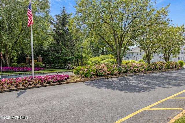 141 Setter Pl, Freehold, NJ 07728 - view of asphalt street with street lights