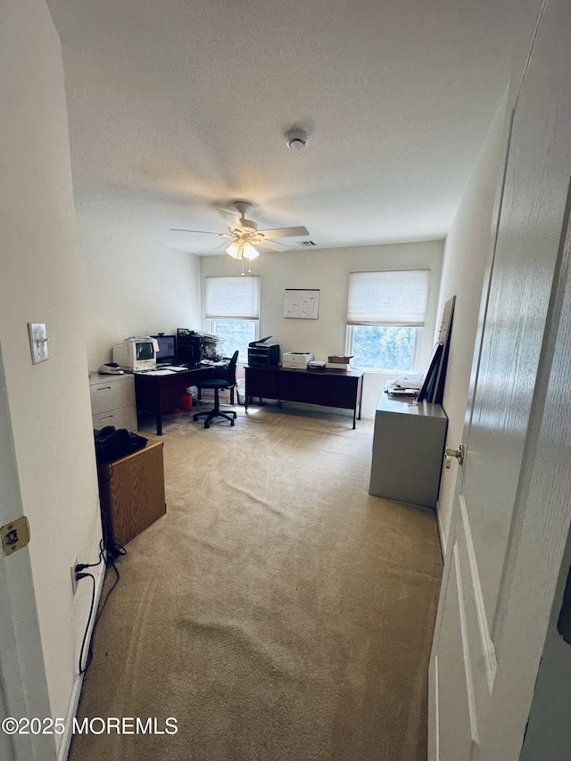 1642 Mink Ct, Toms River, NJ 08755 - carpeted home office with healthy amount of natural light and a ceiling fan