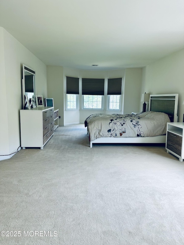 1642 Mink Ct, Toms River, NJ 08755 - view of carpeted bedroom