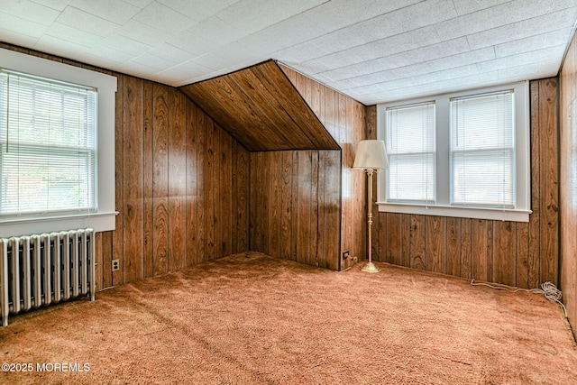 1416 Garven Ave, Ocean Twp, NJ 07712 - bonus room featuring radiator heating unit, wood walls, carpet flooring, and lofted ceiling