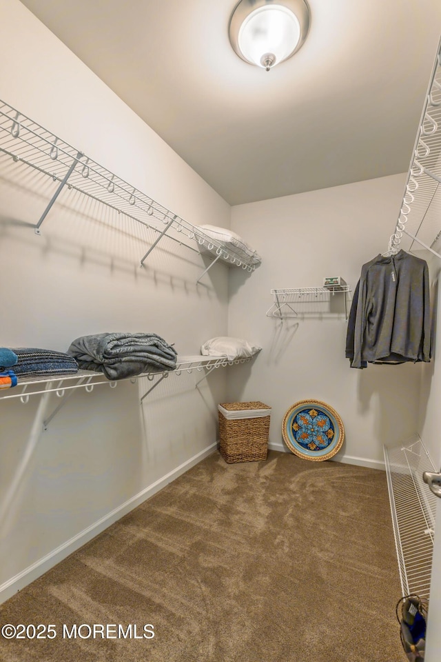 51 Galley Way, Little Egg Harbor, NJ 08087 - spacious closet featuring carpet floors