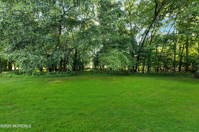 229 Medford Ct Unit B, Manalapan, NJ 07726 - view of grassy yard