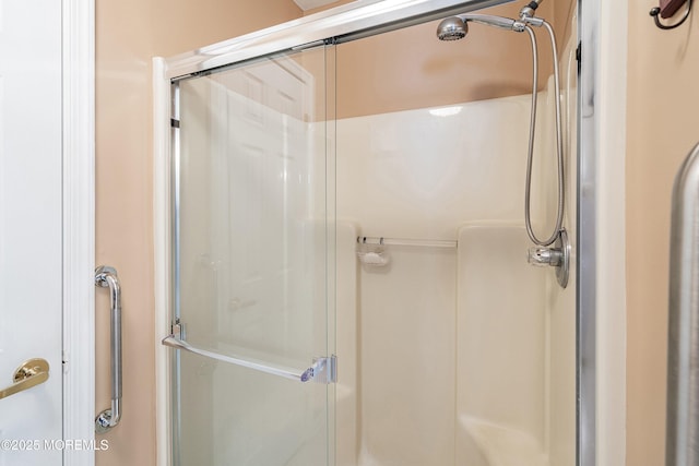 9 Penny Ln, Jackson, NJ 08527 - bathroom with a stall shower