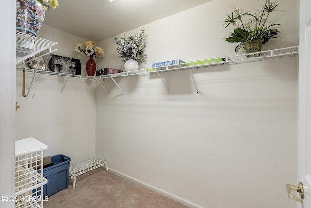 9 Penny Ln, Jackson, NJ 08527 - spacious closet with carpet flooring