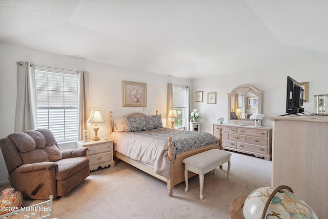 9 Penny Ln, Jackson, NJ 08527 - bedroom with light carpet