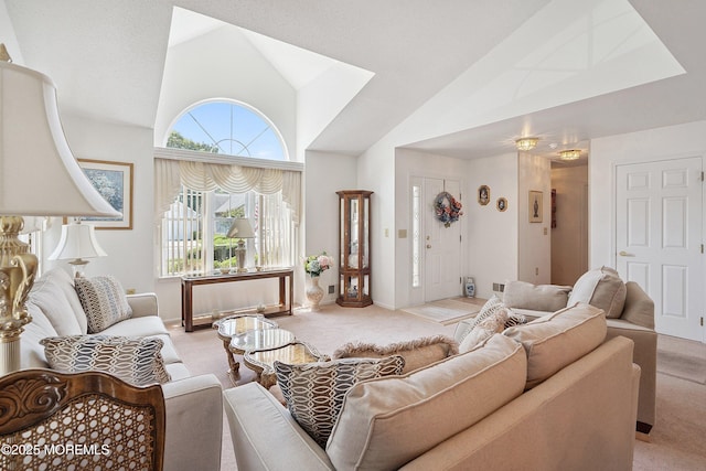 9 Penny Ln, Jackson, NJ 08527 - living area with light colored carpet and vaulted ceiling