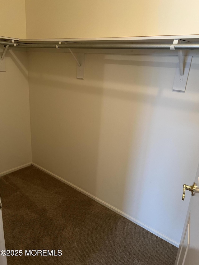 2 Mayapple Dr, Brick, NJ 08724 - walk in closet with dark colored carpet