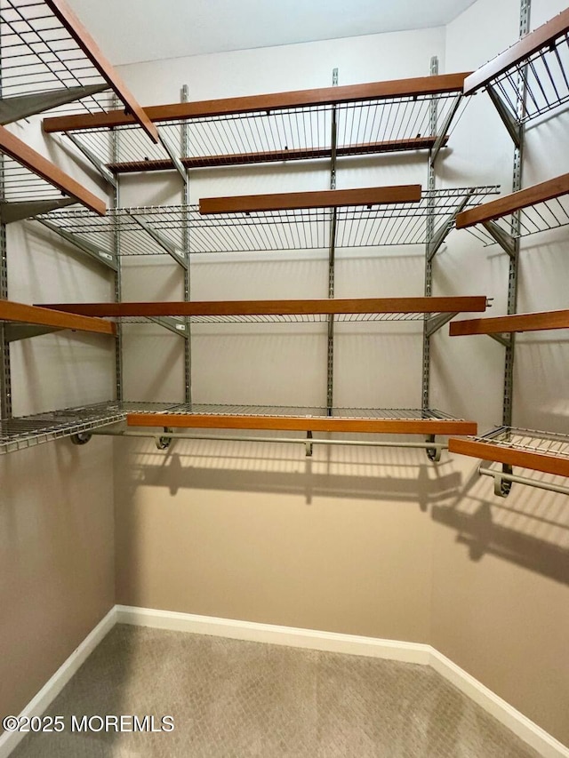 2116 Edward Stec Blvd Unit 2116, Edison, NJ 08837 - walk in closet featuring carpet