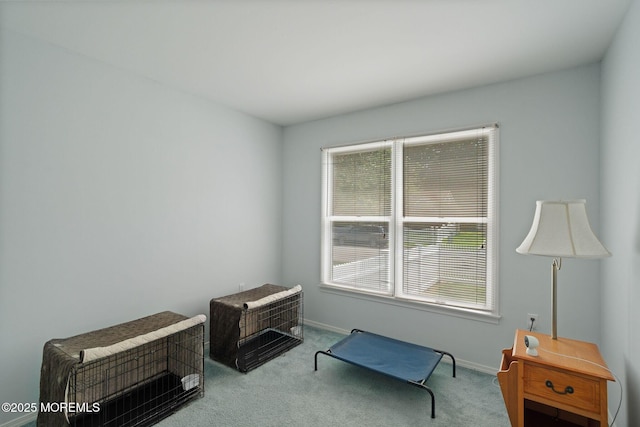 101 Foxwood Ln, Forked River, NJ 08731 - photo 31