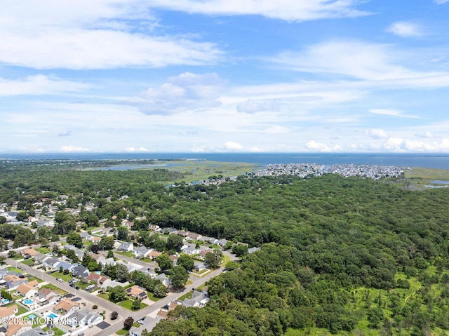 101 Foxwood Ln, Forked River, NJ 08731 - photo 42