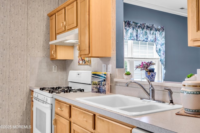 17 Tuscany Cir, Manchester, NJ 08759 - photo 22