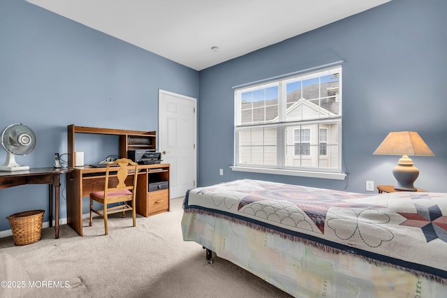 17 Tuscany Cir, Manchester, NJ 08759 - photo 23