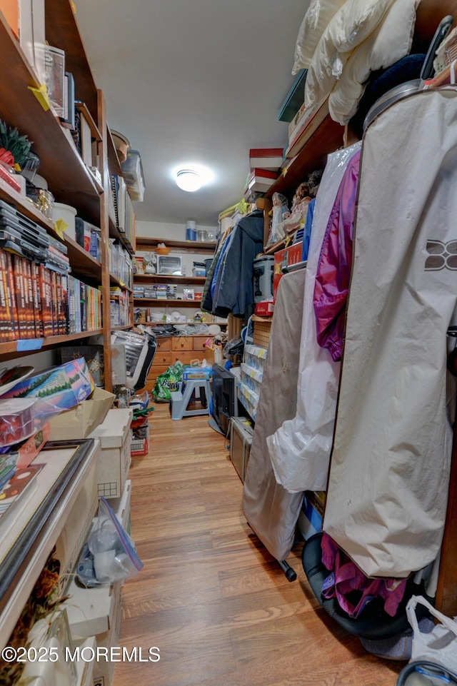 26 Old Manor Rd, Holmdel, NJ 07733 - spacious closet with light wood-type flooring