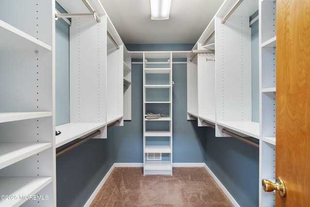 424 Continental St, Forked River, NJ 08731 - spacious closet featuring carpet floors