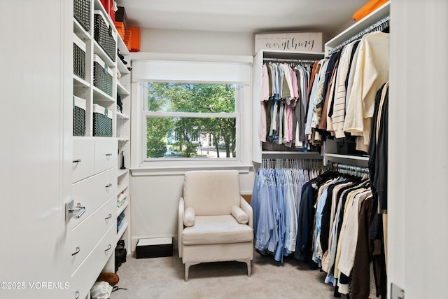 144 Colony Cir, Lakewood, NJ 08701 - walk in closet featuring carpet flooring