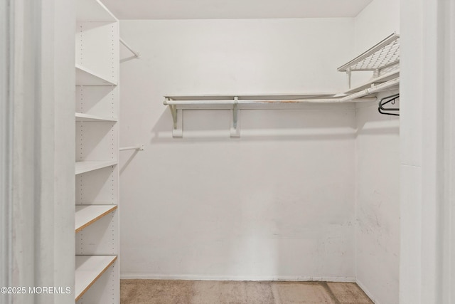 153D Concordia Cir, Monroe, NJ 08831 - spacious closet featuring carpet flooring