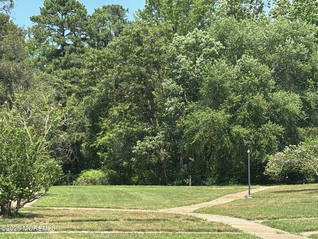 21 Yorkshire Ct Unit A, Manchester, NJ 08759 - view of home's community with a yard and a wooded view