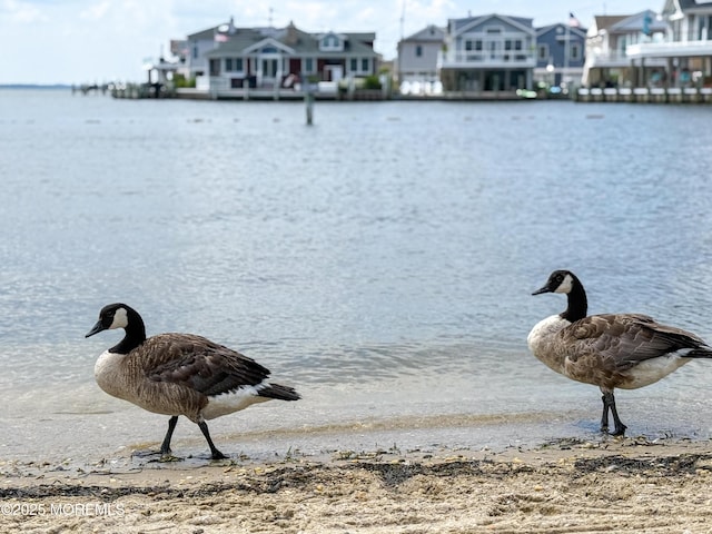 3365 Heron Ln, Lavallette, NJ 08735 - water view featuring nearby suburban area