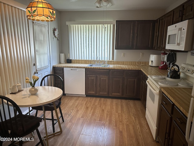 805 Westminster Ct Unit A, Manchester, NJ 08759 - kitchen with white appliances, light wood-style flooring, dark brown cabinets, and light countertops