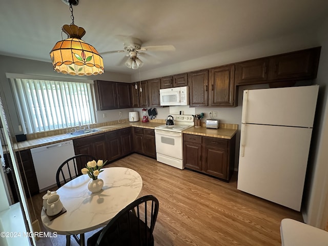 805 Westminster Ct Unit A, Manchester, NJ 08759 - kitchen featuring white appliances, dark brown cabinetry, light countertops, ceiling fan, and light wood-style floors
