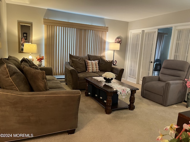 805 Westminster Ct Unit A, Manchester, NJ 08759 - living room featuring carpet flooring